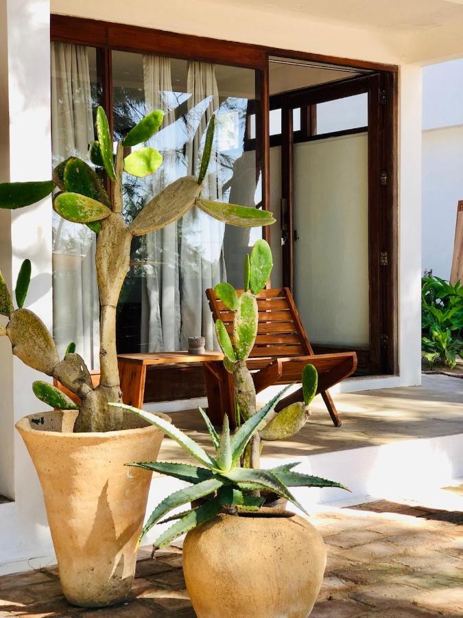 Liquid Dive Adventures Bed & Breakfast Praia do Praia do Tofo Exterior foto
