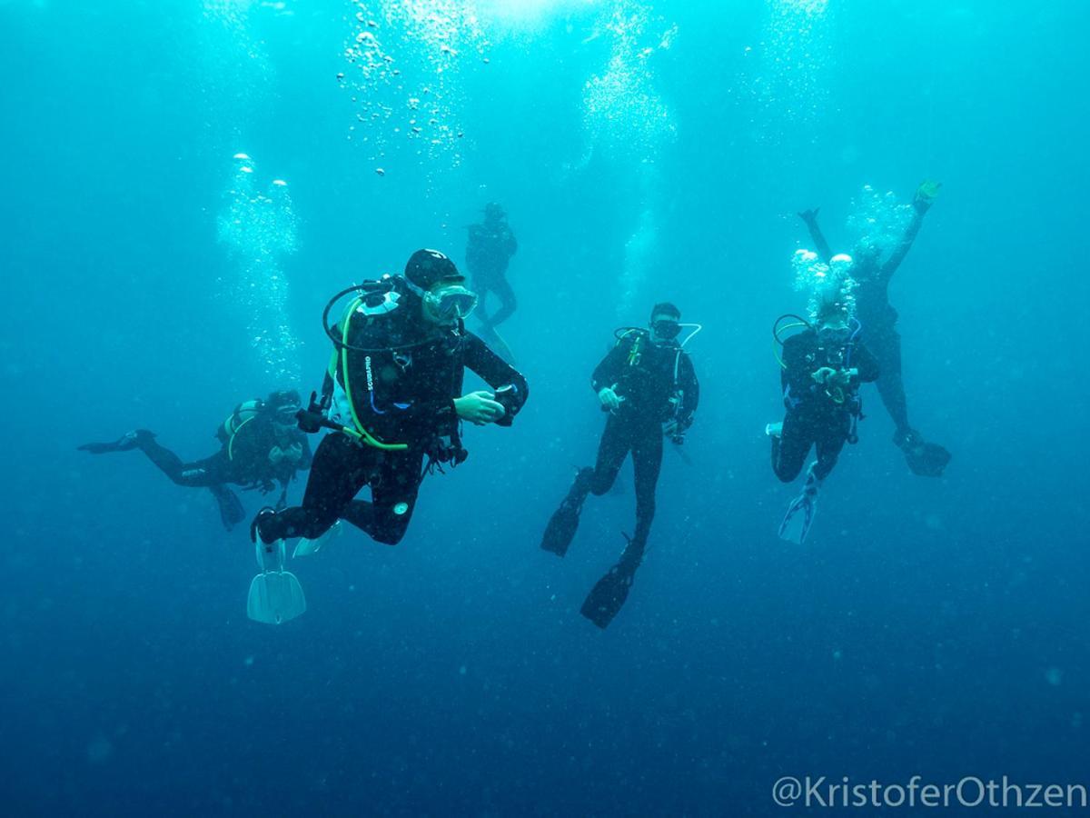 Liquid Dive Adventures Bed & Breakfast Praia do Praia do Tofo Exterior foto