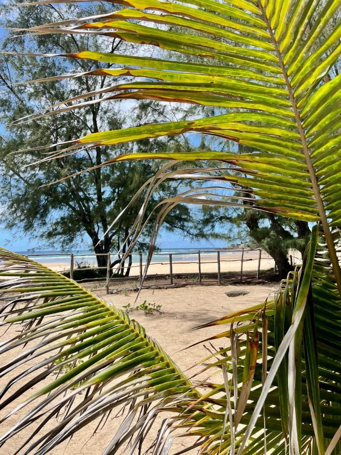 Liquid Dive Adventures Bed & Breakfast Praia do Praia do Tofo Exterior foto