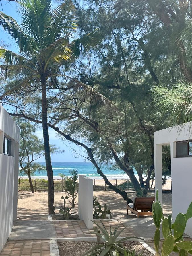 Liquid Dive Adventures Bed & Breakfast Praia do Praia do Tofo Exterior foto