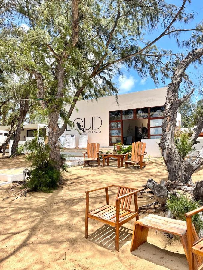 Liquid Dive Adventures Bed & Breakfast Praia do Praia do Tofo Exterior foto