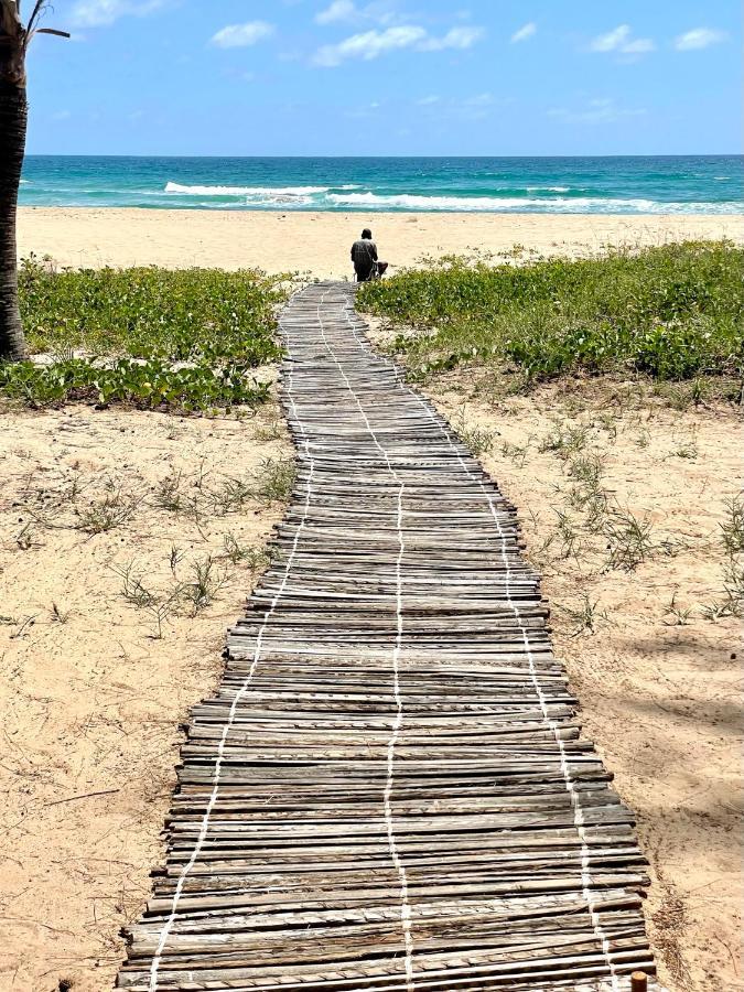 Liquid Dive Adventures Bed & Breakfast Praia do Praia do Tofo Exterior foto
