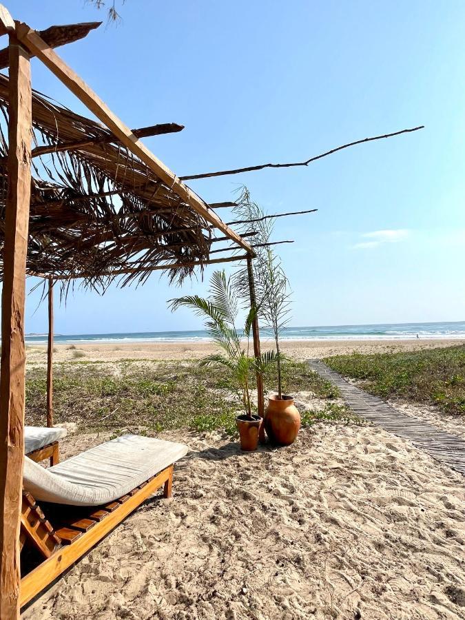 Liquid Dive Adventures Bed & Breakfast Praia do Praia do Tofo Exterior foto