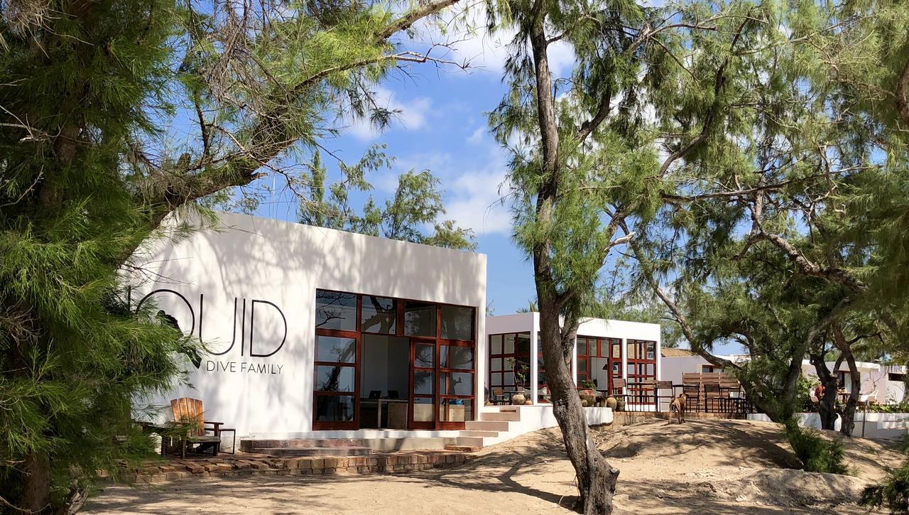 Liquid Dive Adventures Bed & Breakfast Praia do Praia do Tofo Exterior foto
