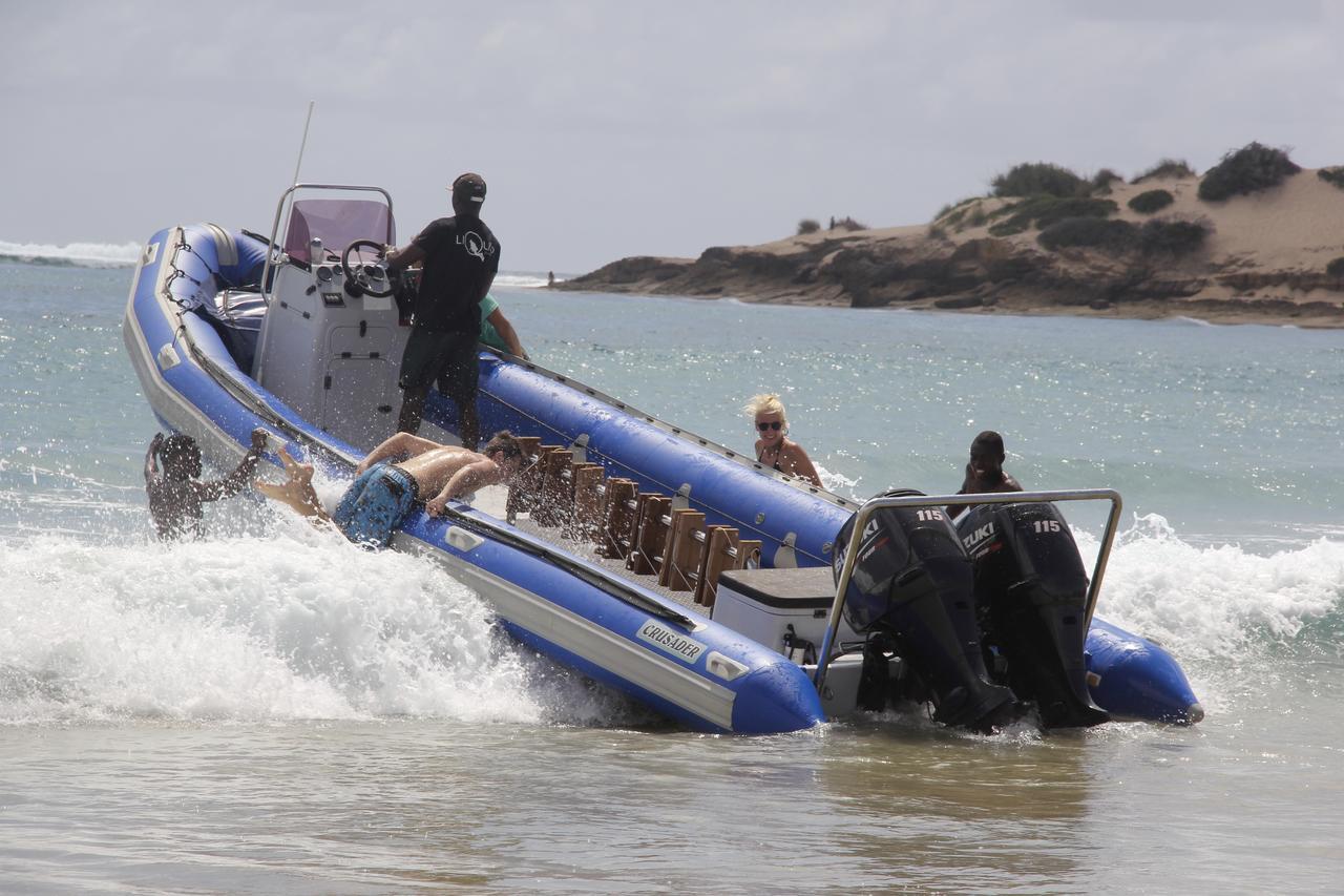 Liquid Dive Adventures Bed & Breakfast Praia do Praia do Tofo Exterior foto