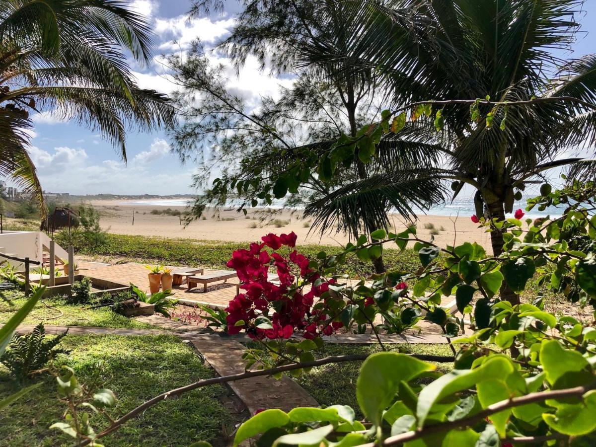 Liquid Dive Adventures Bed & Breakfast Praia do Praia do Tofo Exterior foto